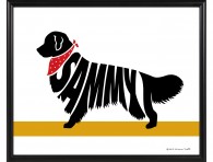 retriever-framed